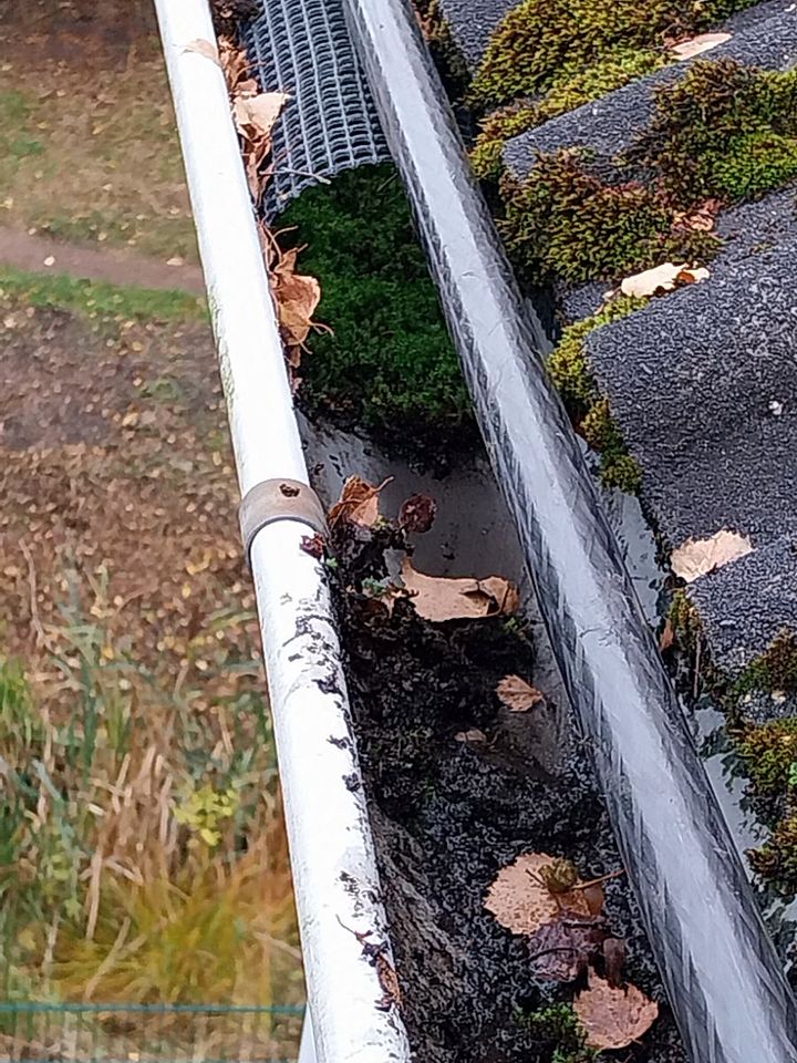 Moos und Laub neben einem Laubschutzgitter in der Rinne