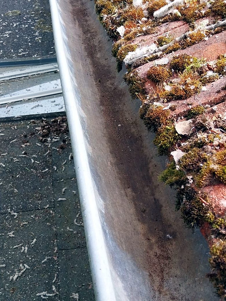 Dieselbe Dachrinne nach der Reinigung: frei von Laub und Moos